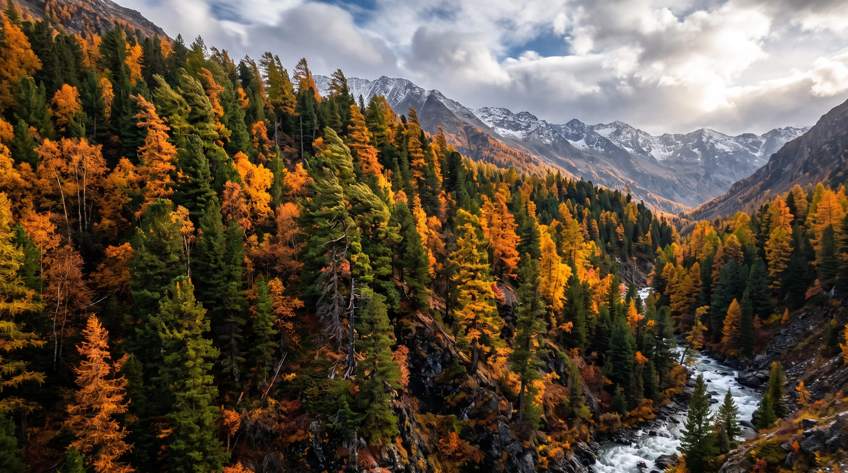 Enduring Forest on the Mountainside