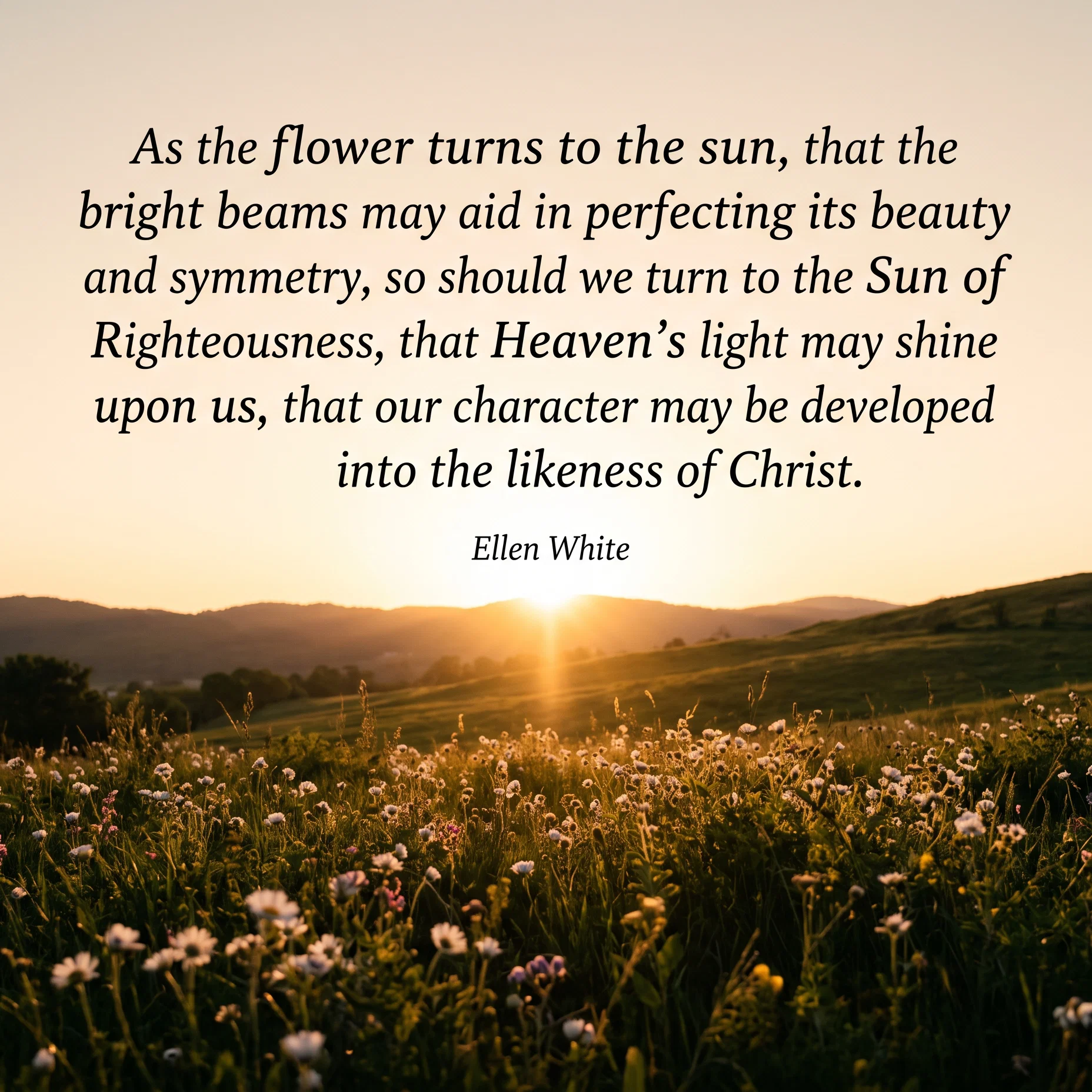 Divine Radiance Upon the Blooming Meadow