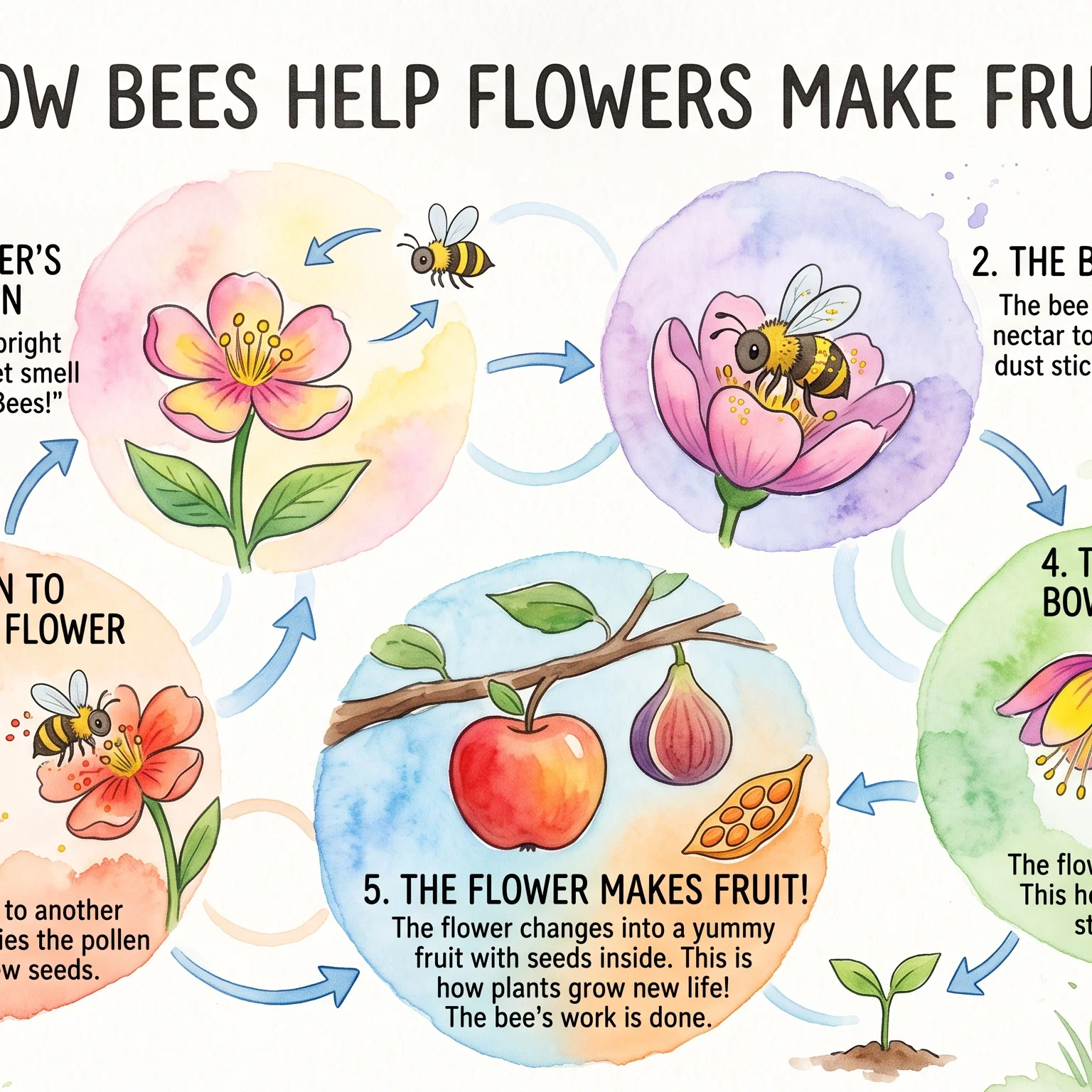 The Golden Path of Pollination