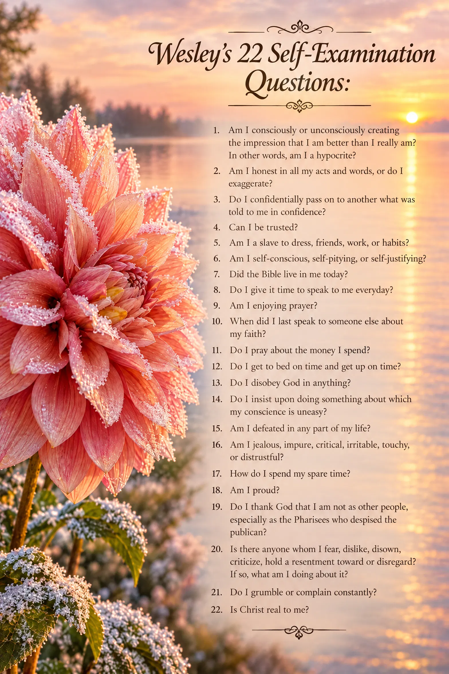 Reflections on a Quiet Heart