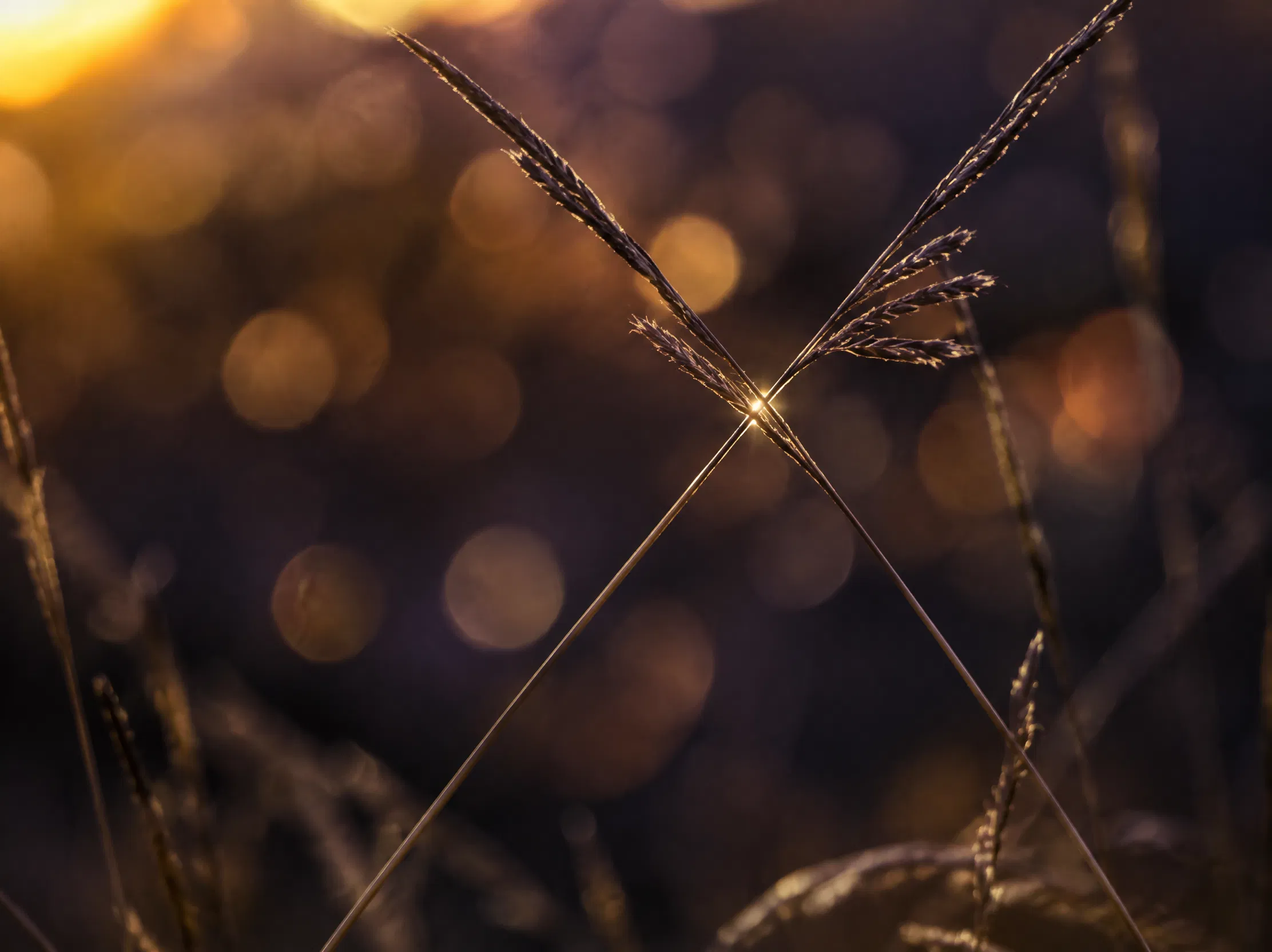 The Narrow Path of Light