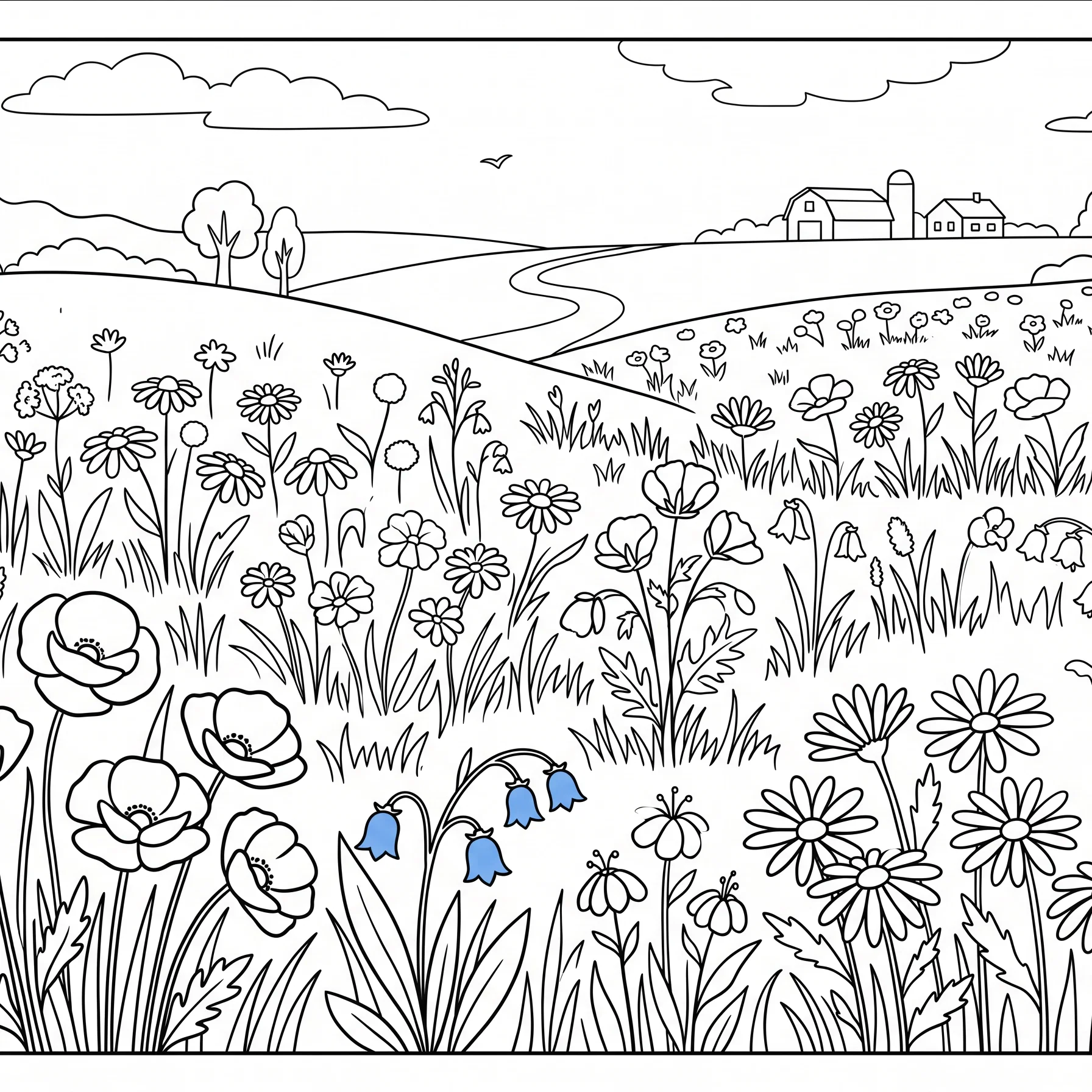 Lilies of the Field in Bloom
