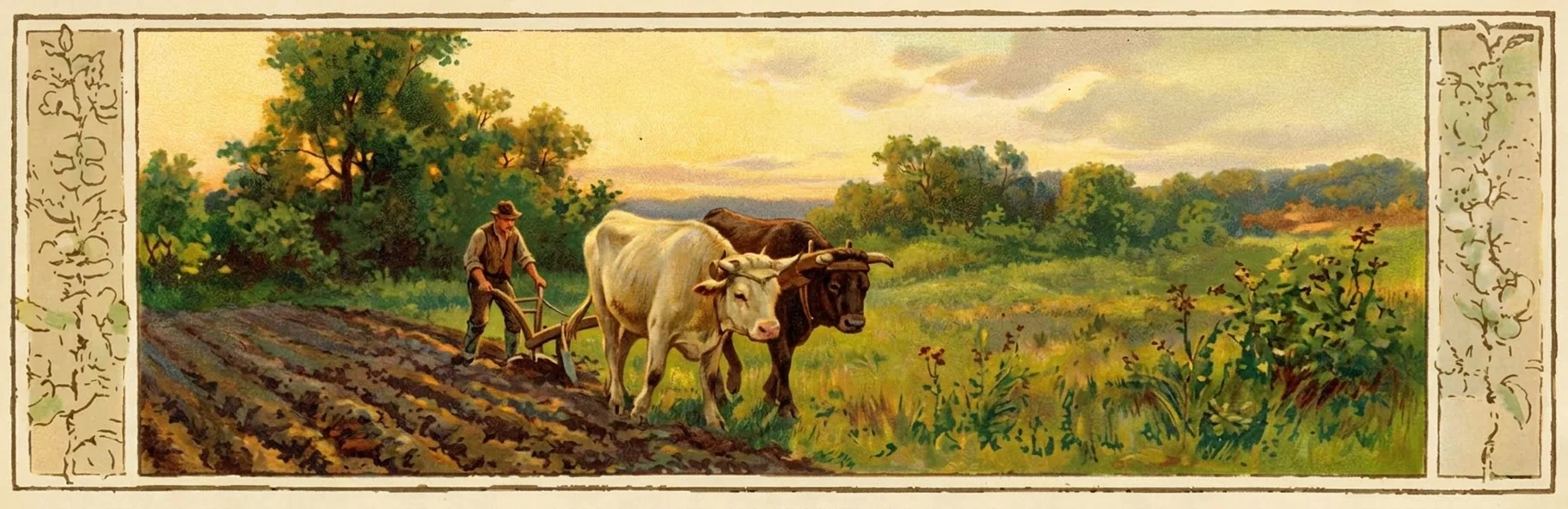A pastoral landscape shows a large horned cow standing in the foreground near the center, facing right, with its head lowered slightly as if grazing. Dense, shadowy trees and brush fill the left side, while an open meadow extends across the right toward a low, softly wooded horizon. The scene is rendered in muted, atmospheric tones, with grasses and small plants scattered throughout the field. Decorative vertical panels border both sides of the image, containing faint ornamental foliage and indistinct markings, but no clearly legible text appears within the scene.