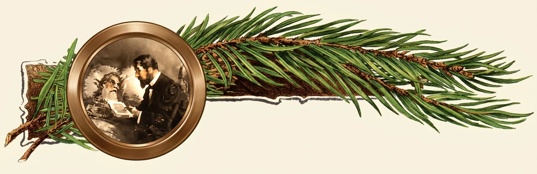 A horizontal decorative composition shows a long brown pine branch stretching across the image, densely covered with clusters of slender green needles and smaller twigs. At the left, a large circular bronze-toned frame overlaps the branch and contains a sepia portrait of two men: an older, bearded man seated or reclining with an open book or papers, and a younger dark-haired, bearded man in a suit leaning toward him as if engaged in conversation or instruction. The background is a plain warm cream color, with no visible lettering.