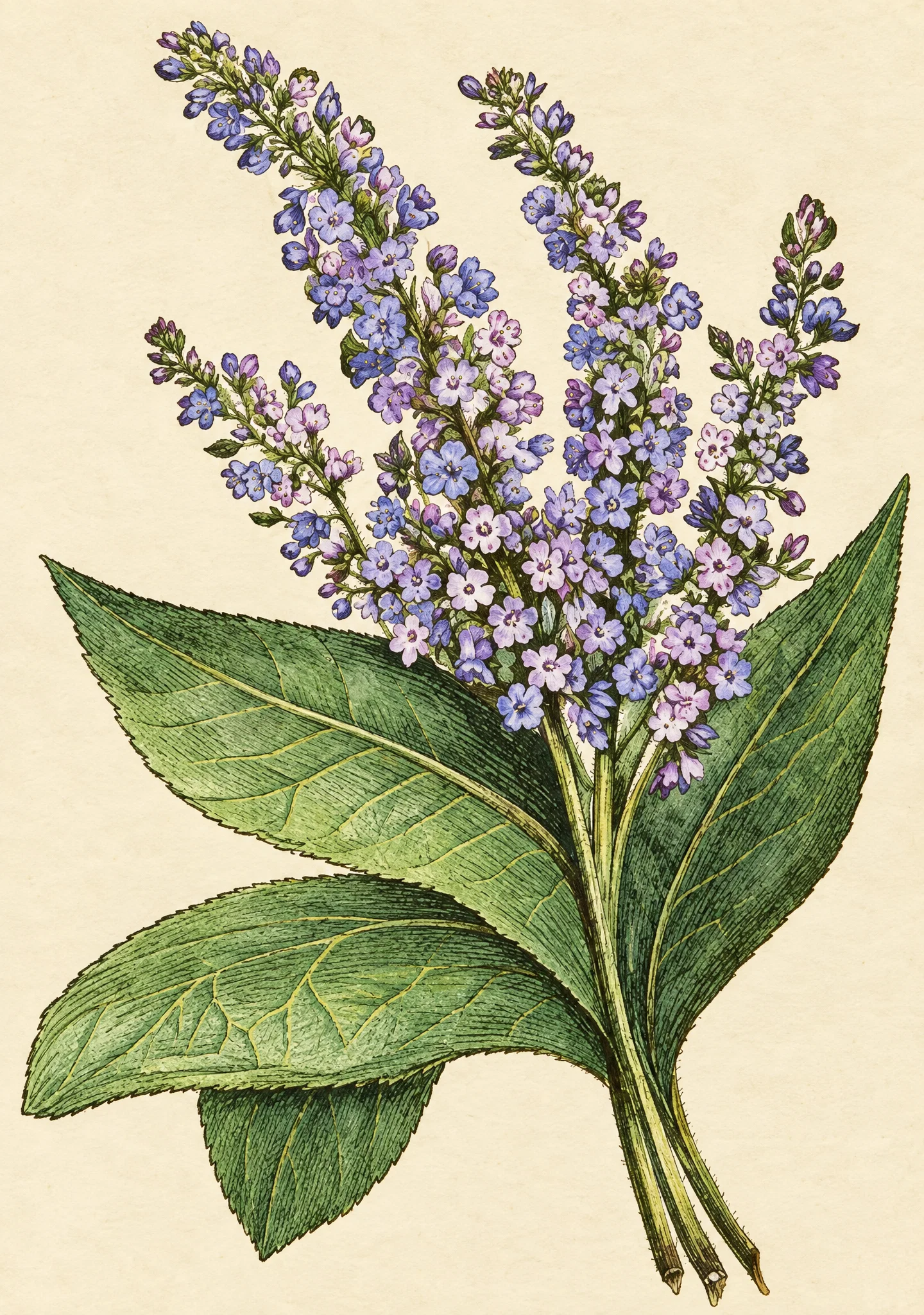 “The hyssop used in sprinkling the blood was the symbol of purification.”
